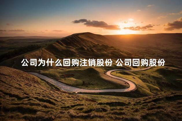 公司为什么回购注销股份 公司回购股份注销有什么好处